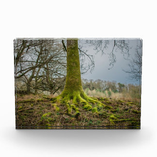 Evening Mood Photo Block