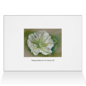Evening Moonflower Pastel Art Cards (Inside Horizontal (Top))