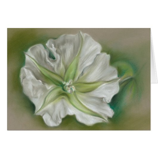 Evening Moonflower Pastel Art Cards (Front Horizontal)