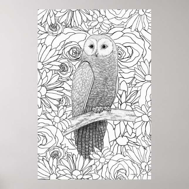 Evening Owl Poster (Front)