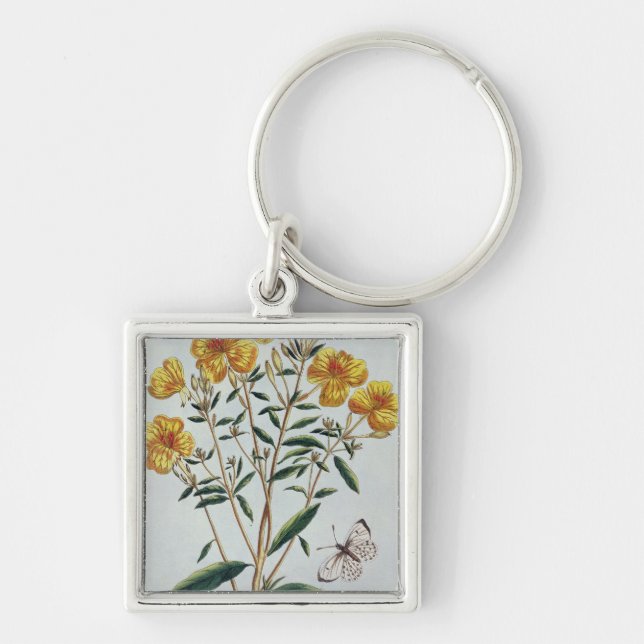 Evening Primrose, plate 73 from 'Collection Precie Keychain (Front)