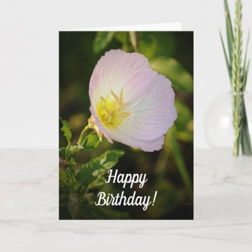 Evening Primrose Wildflower Birthday Card