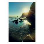 Evening Sun at Bethells Beach Photo Poster
