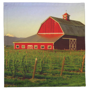 Evening sun on a barn in Washington's Skagit Cloth Napkin