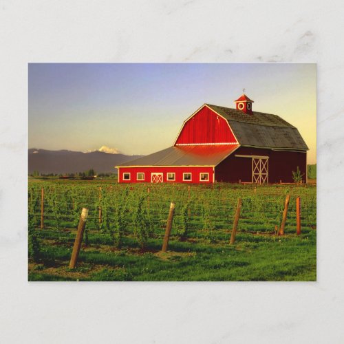 Evening sun on a barn in Washingtons Skagit Postcard