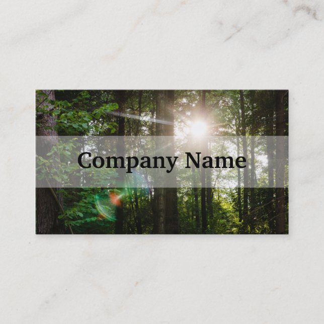 Evening Sunlight In A Forest Landscape Business Card (Front)