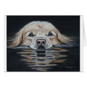 Evening swim (Front Horizontal)