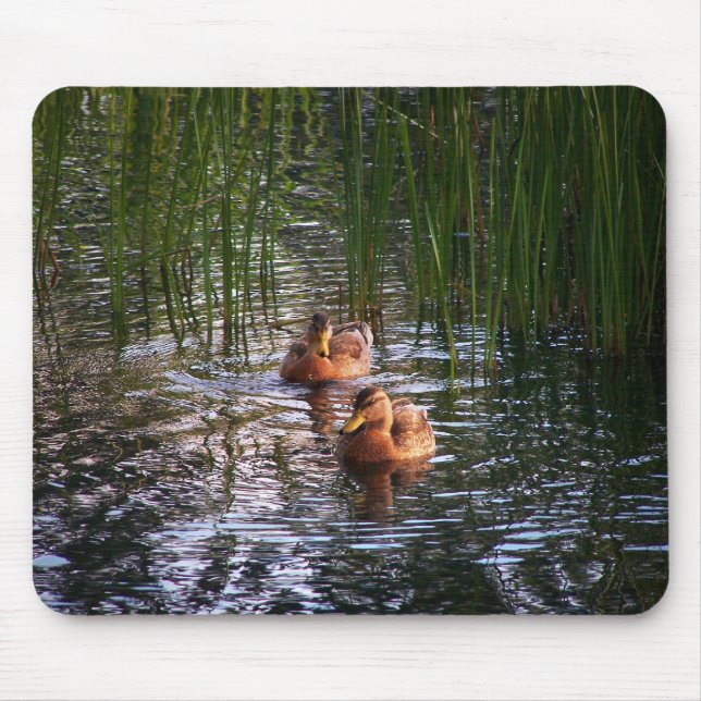 Evening Swim Mouse Pad (Front)