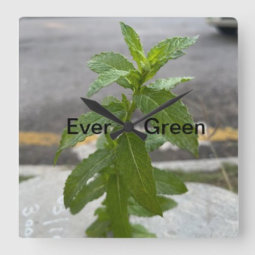 Ever Green _ No To pollution  Square Wall Clock