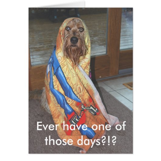 Ever Have One Of Those Days?!? Cards (Front)