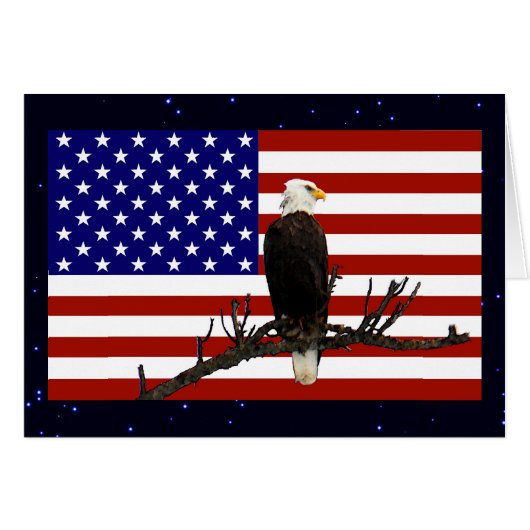 Ever Vigilant Bald Eagle Cards (Front Horizontal)