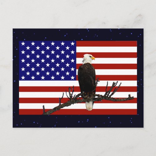 Ever Vigilant Bald Eagle Postcard