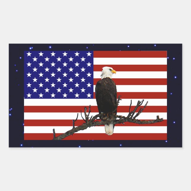 Ever Vigilant Bald Eagle Rectangular Sticker (Front)