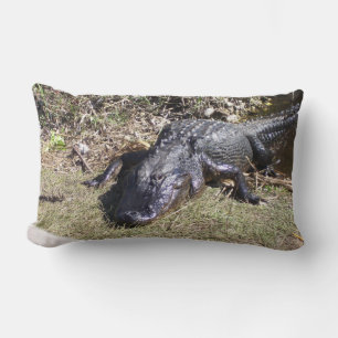 Everglades Alligator Resting in Warm Light Lumbar Pillow