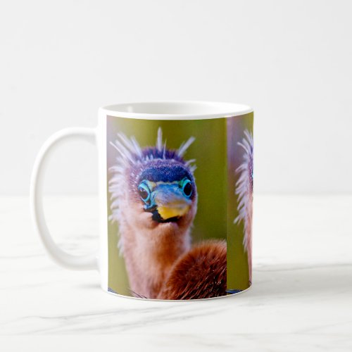 Everglades Anhinga Coffee Mug