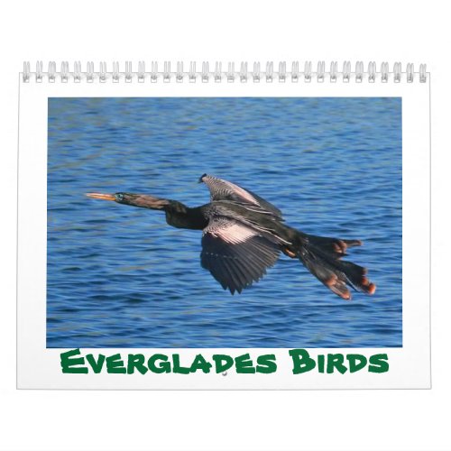 Everglades Birds Calendar