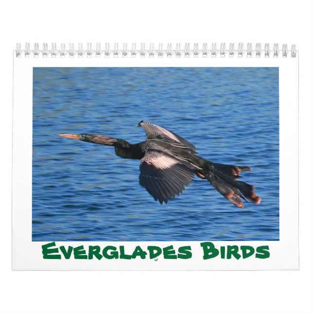 Everglades Birds Calendar (Cover)