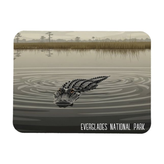 Everglades Florida Alligator Travel Magnet (Horizontal)