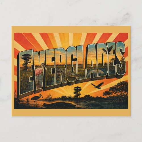 Everglades Florida National Park River of Grass Postcard