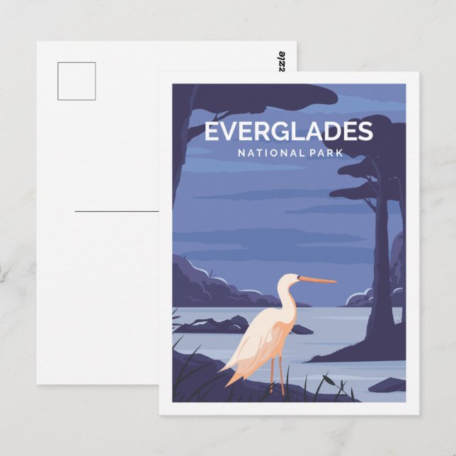 Everglades Florida USA Travel Place Illustration Postcard (Front/Back)