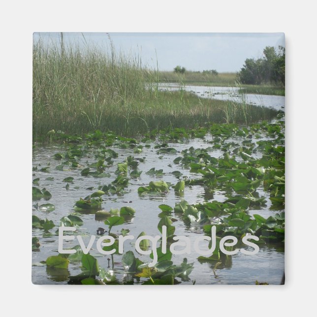 Everglades Magnet (Front)