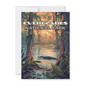 Everglades National Park Alligator Florida Card