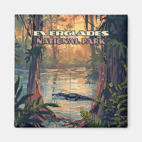Everglades National Park Alligator Swamp Florida