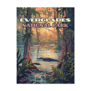 Everglades National Park Alligator Swamp Florida Postcard