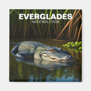 Everglades National Park Florida Alligator Travel Magnet
