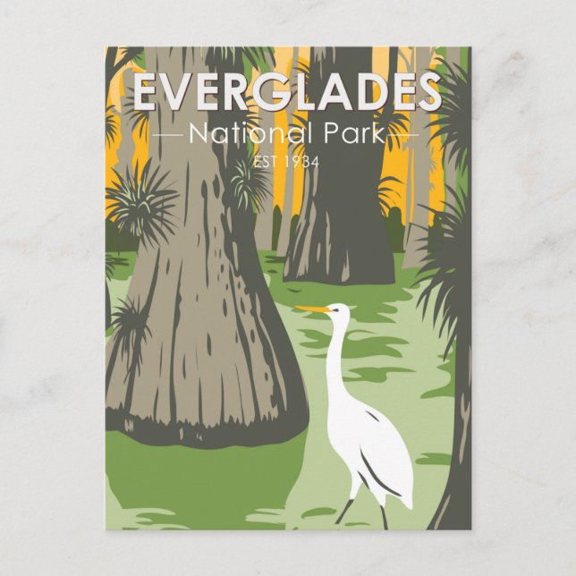  Everglades National Park Florida Egret Vintage Postcard (Front)