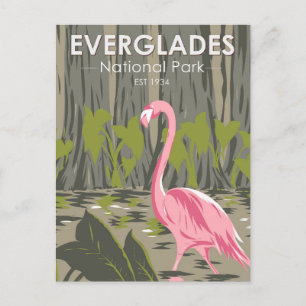 Everglades National Park Florida Flamingo Vintage Postcard