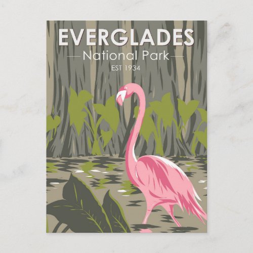  Everglades National Park Florida Flamingo Vintage Postcard