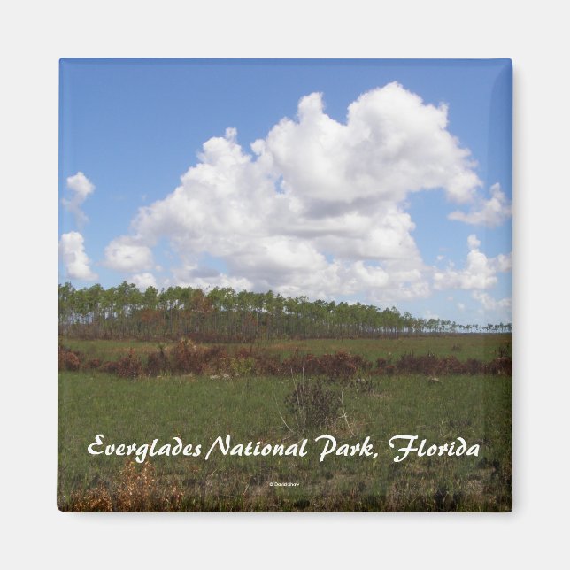 Everglades National Park, Florida Magnet (Front)