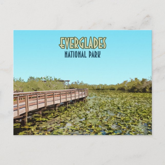 Everglades National Park Florida Postcard (Front)