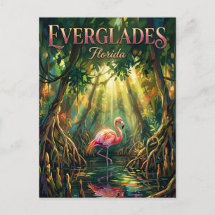 Everglades National Park Florida Postcard
