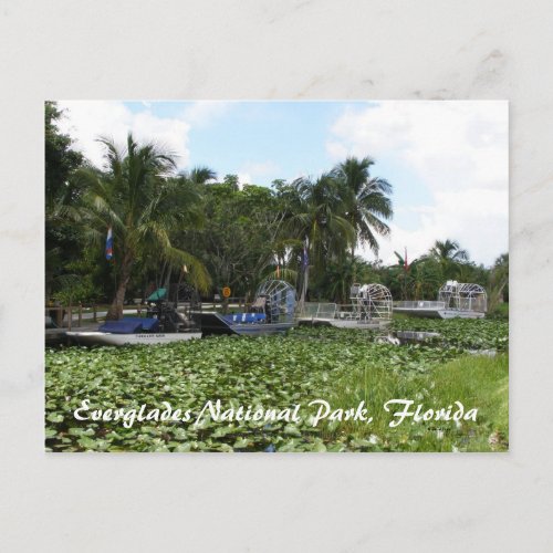 Everglades National Park Florida Postcard