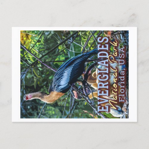 EVERGLADES NATIONAL PARK _ FLORIDA UNITED STATES POSTCARD