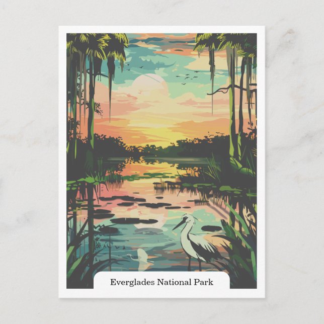 Everglades National Park, Florida USA Postcard (Front)
