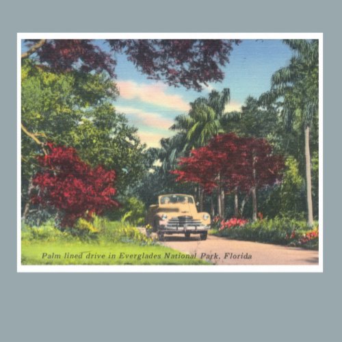 Everglades National Park Florida vintage photo Poster