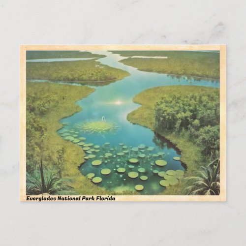 Everglades National Park Florida Vintage Travel Postcard