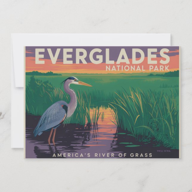Everglades National Park Holiday Card (Front)