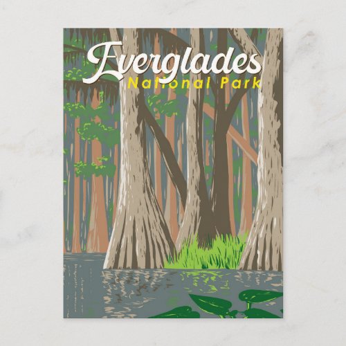 Everglades National Park Illustration Travel Art Postcard