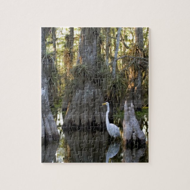 Everglades National Park Jigsaw Puzzle (Vertical)