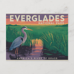 Everglades National Park Postcard