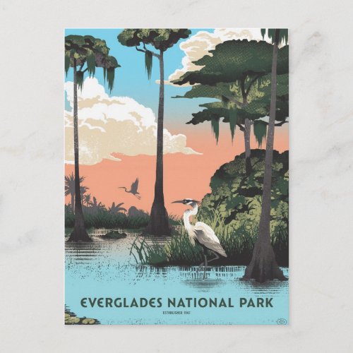 Everglades national park postcard