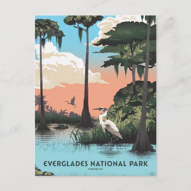 Everglades national park postcard (Front)