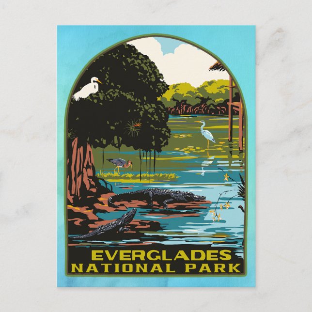 Everglades National Park Postcard (Front)