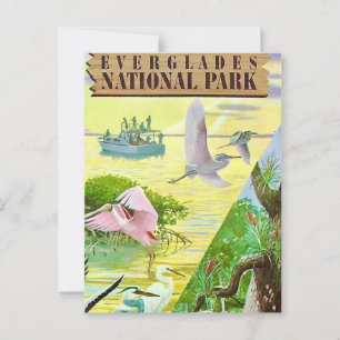 Everglades National Park Postcard