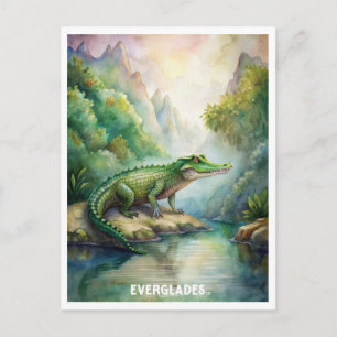 Everglades National Park Watercolor  Postcard