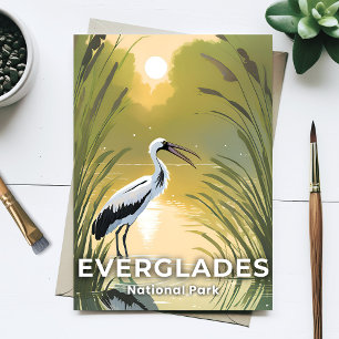 Everglades National Park Watercolor Stork Postcard